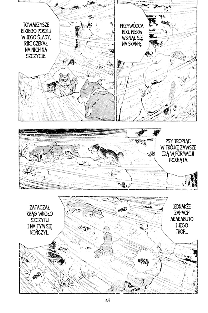 Silver Fang – The Shooting Star Gin – Narodziny psa na niedźwiedzie, Gina! 第44页