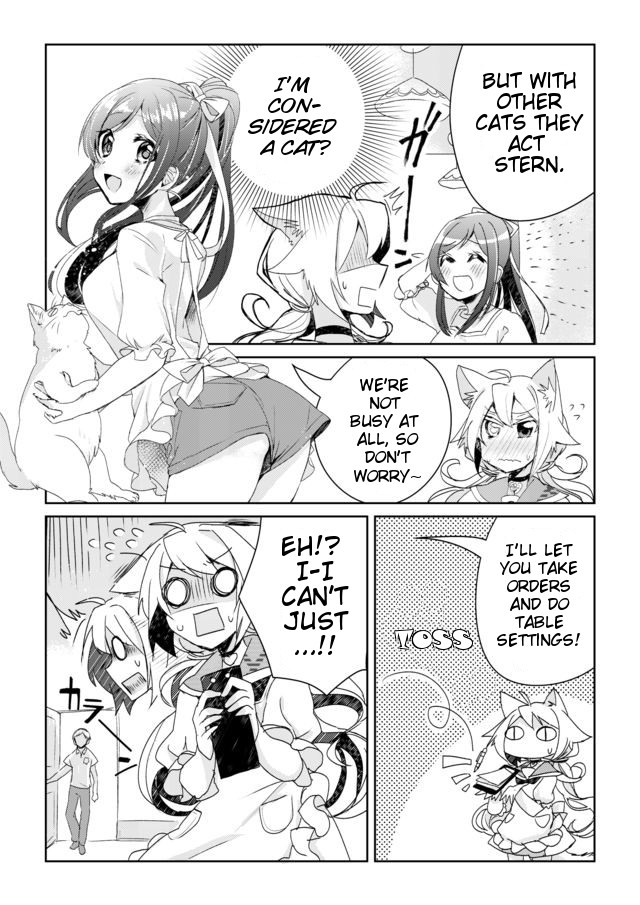 Catulus Syndrome Friend Problem 第9页