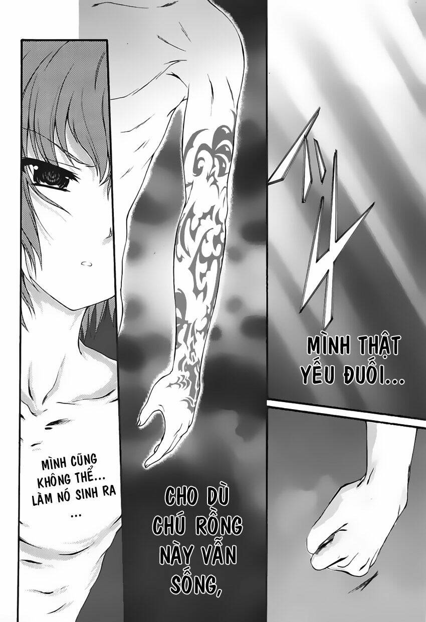 Seikoku no Dragonar Vol. 1 Ch. 1 第41页