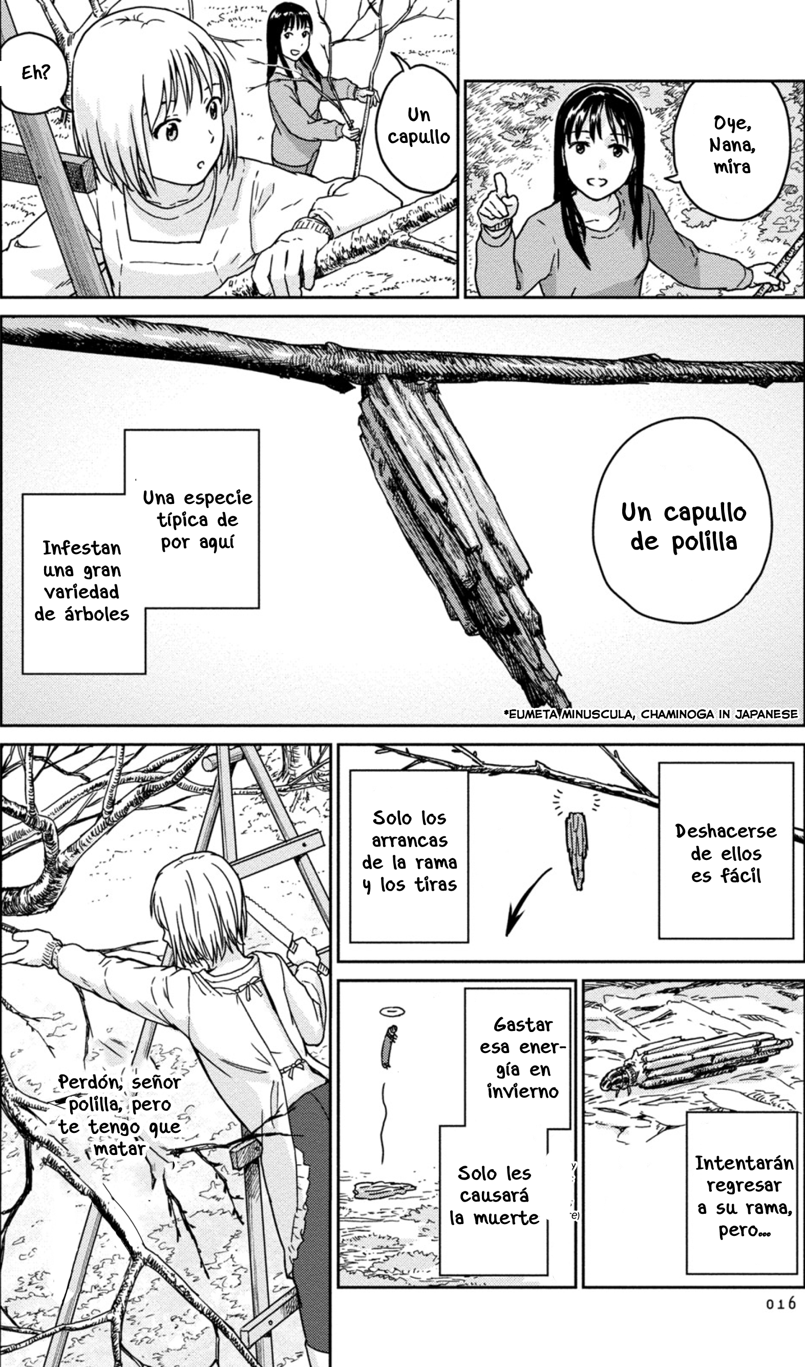 Mai's Insect Life Polillas 第4页