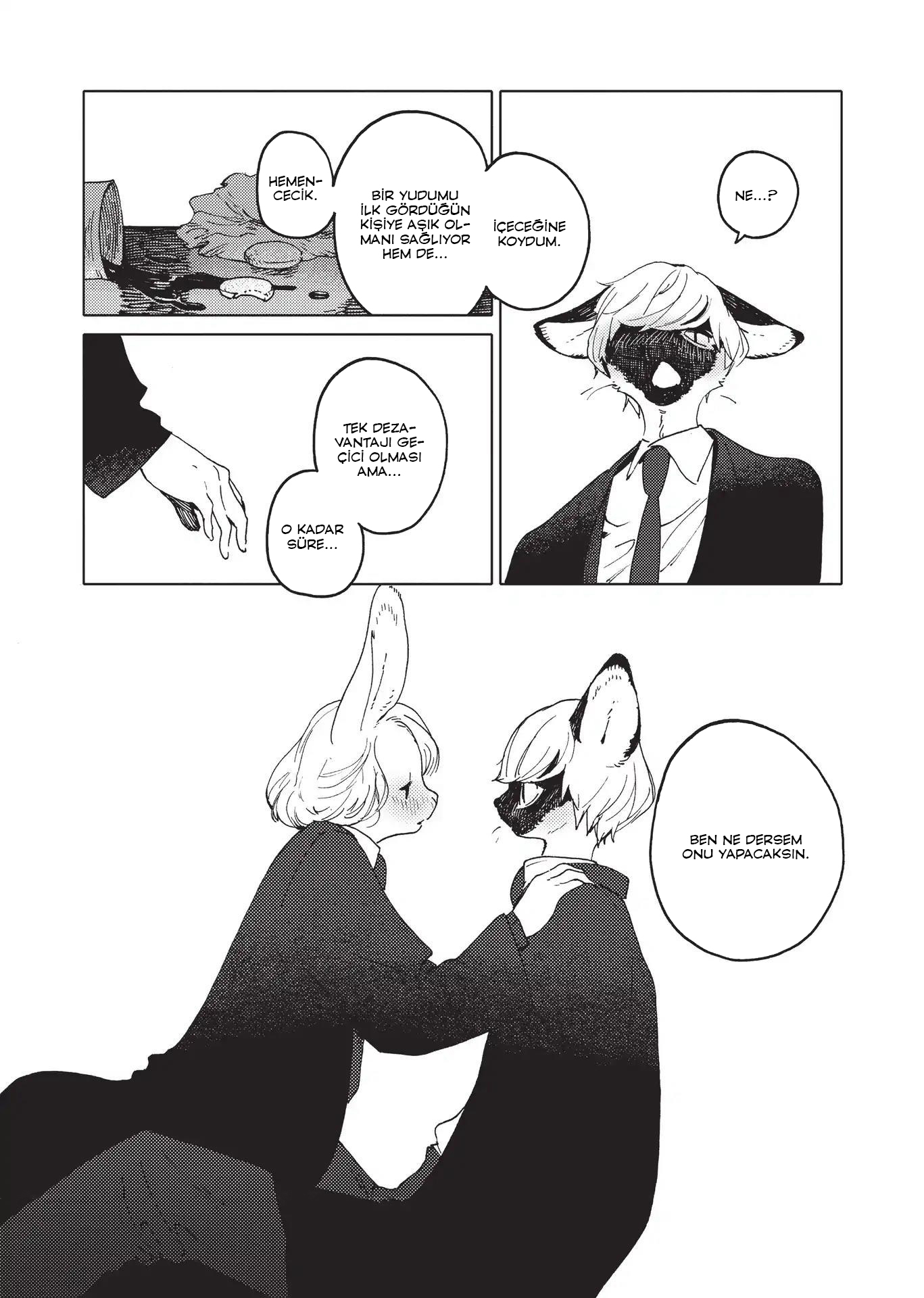 Wizdoms Alan & Eddington: Dahi ve Sıradan 第13页