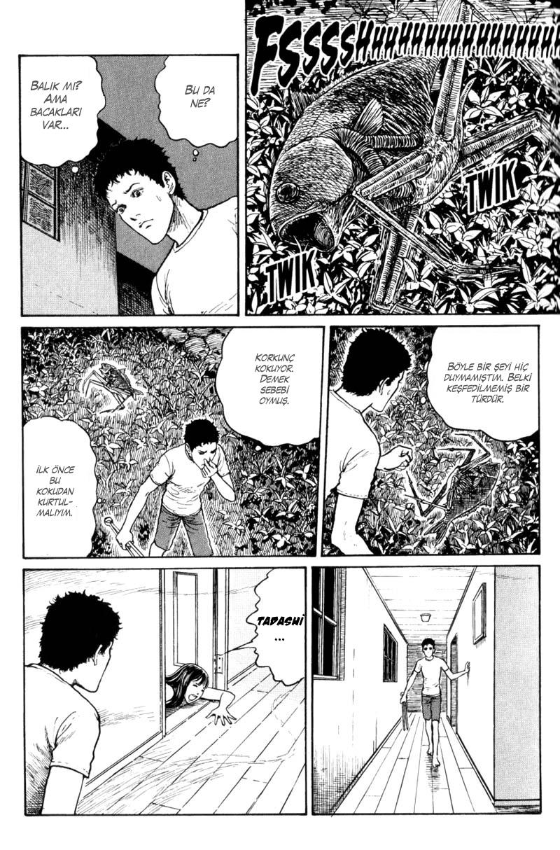 GYO Ch. 2 第4页
