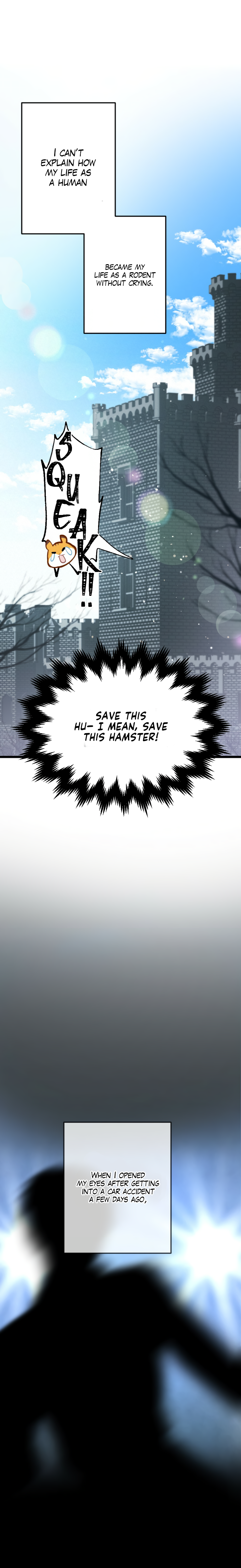 The Northern Grand Duke’s Hamster 第3页