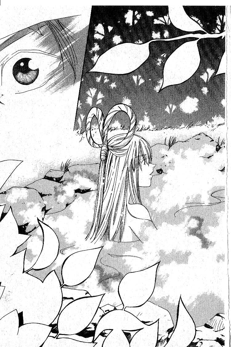 Faeries' Landing The Fetching Faresie Fell To Earth 第17页