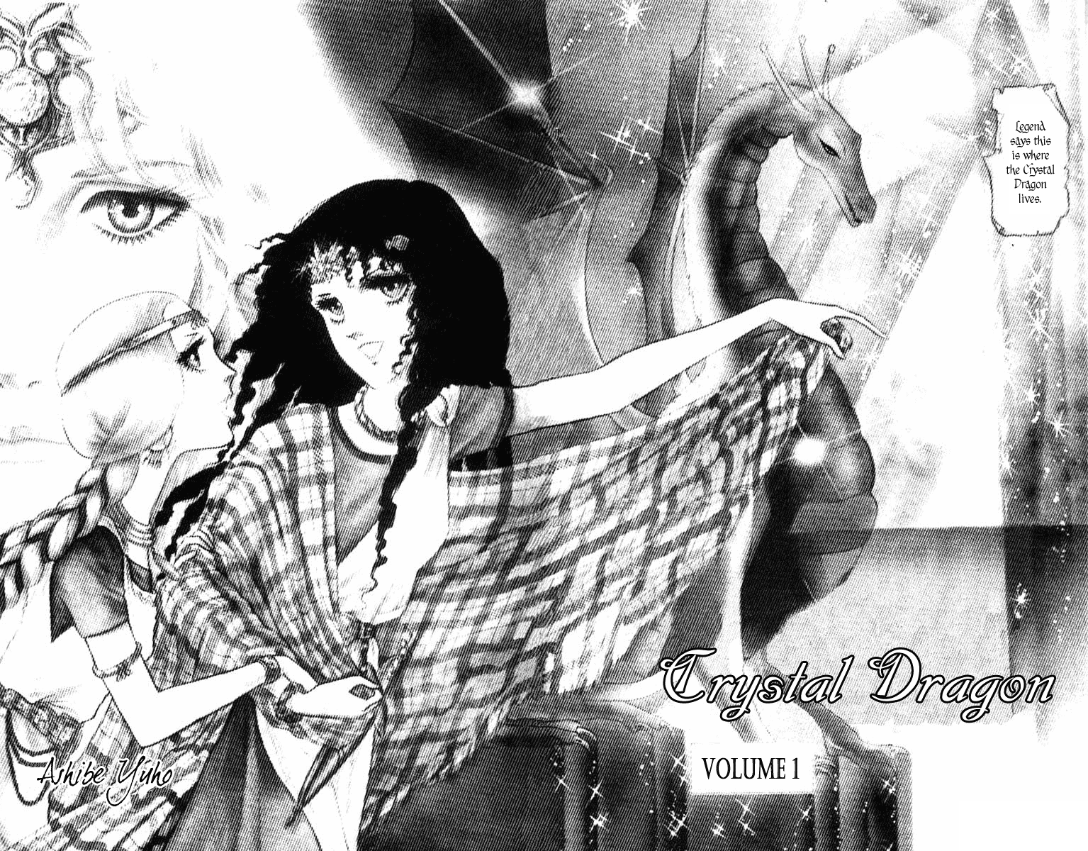 Crystal Dragon 第3页