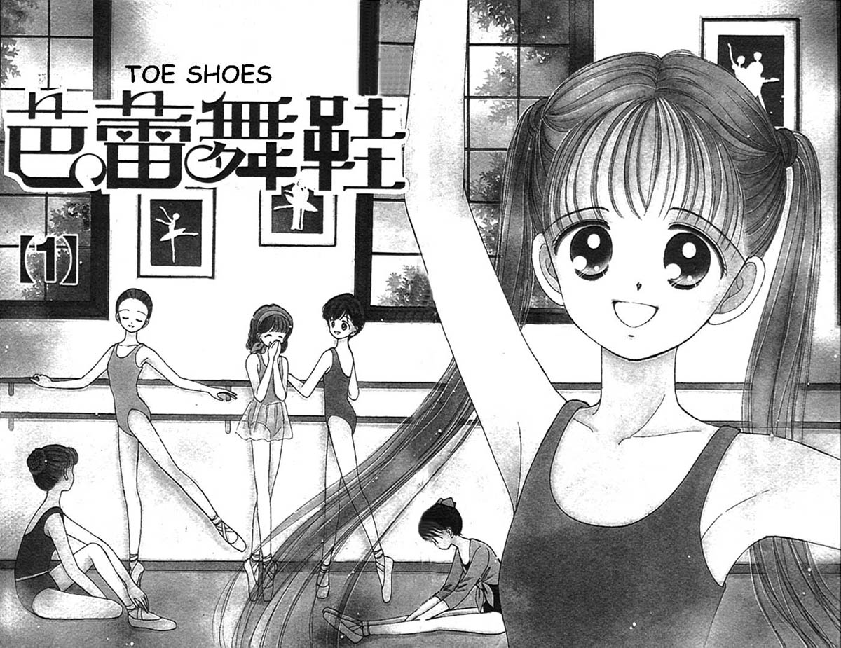 Toe Shoes 第3页