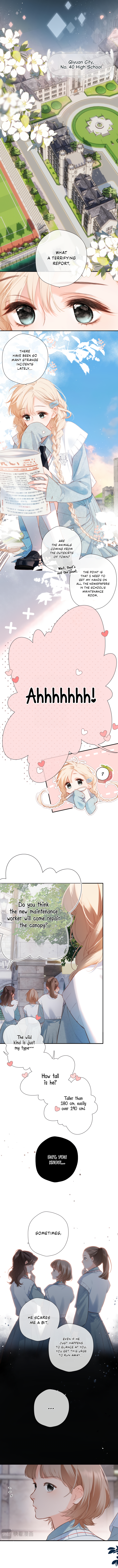 Back to Spring 第4页
