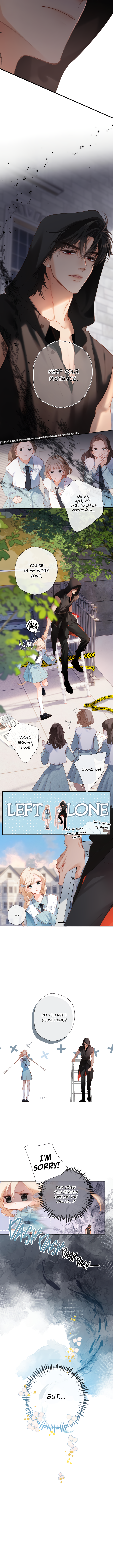 Back to Spring 第7页
