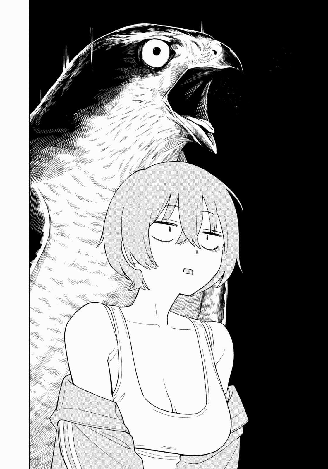 Yotaka Futatabi Nighthawk Returns (?) 第33页
