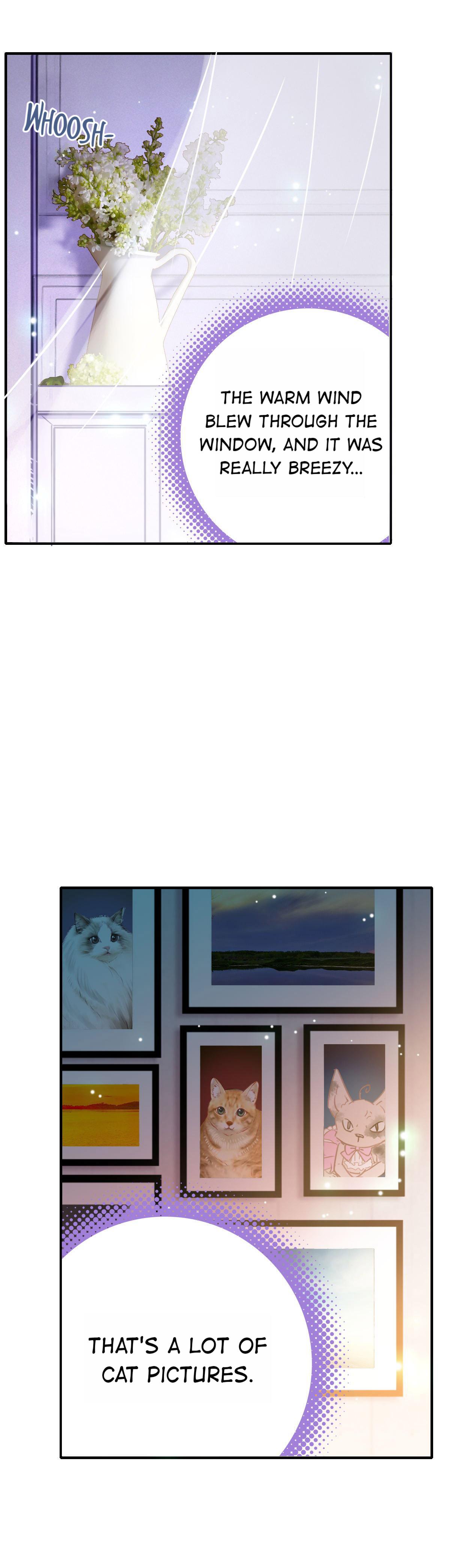 With Cats Only Episode 3 第4页