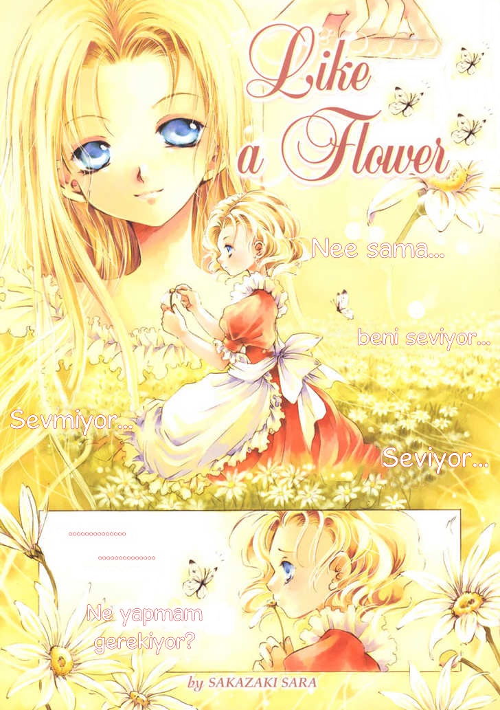 Like a Flower 第3页