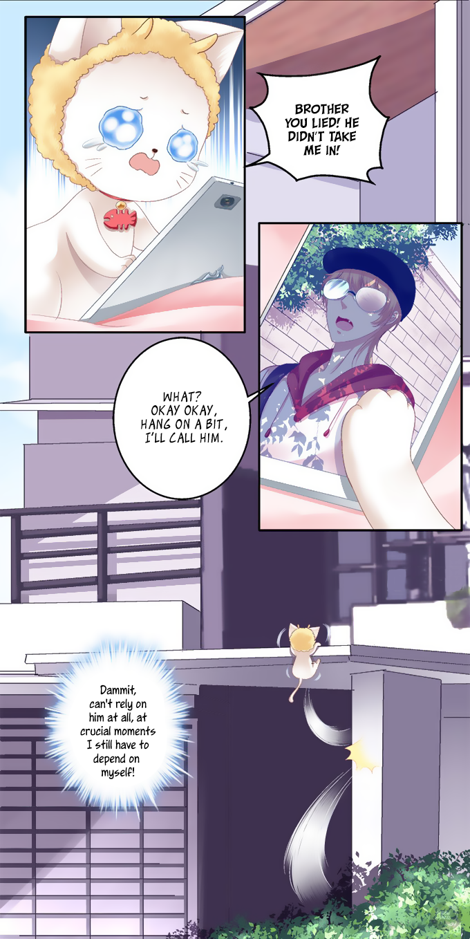 Māo yāo de yòuhuò Can I Kiss You? 第11页
