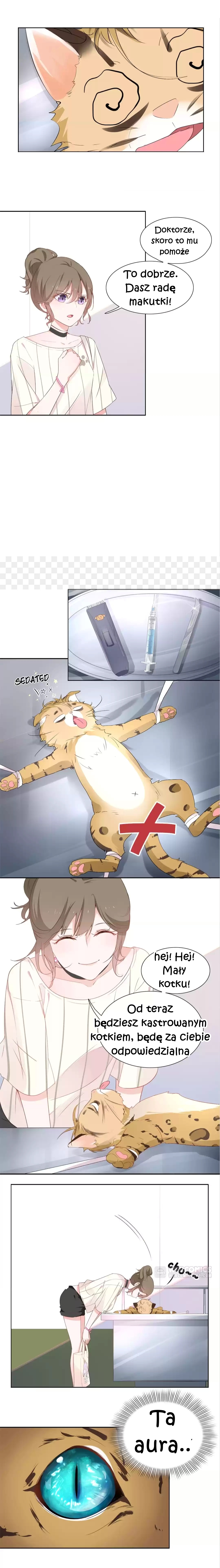 12 Evil Cats Ch. 1 第12页