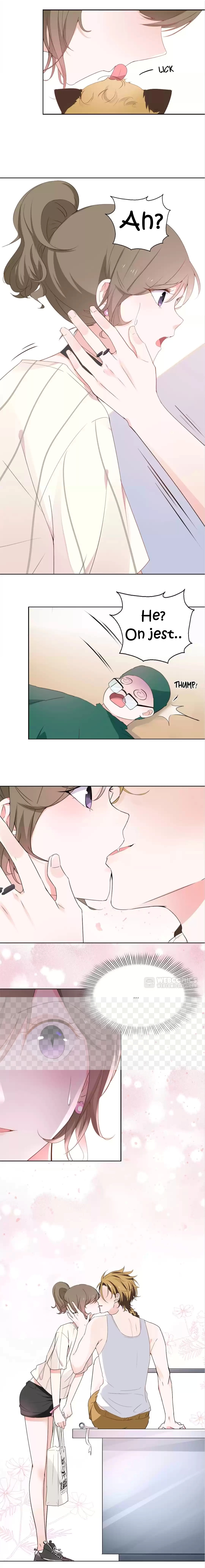 12 Evil Cats Ch. 1 第13页