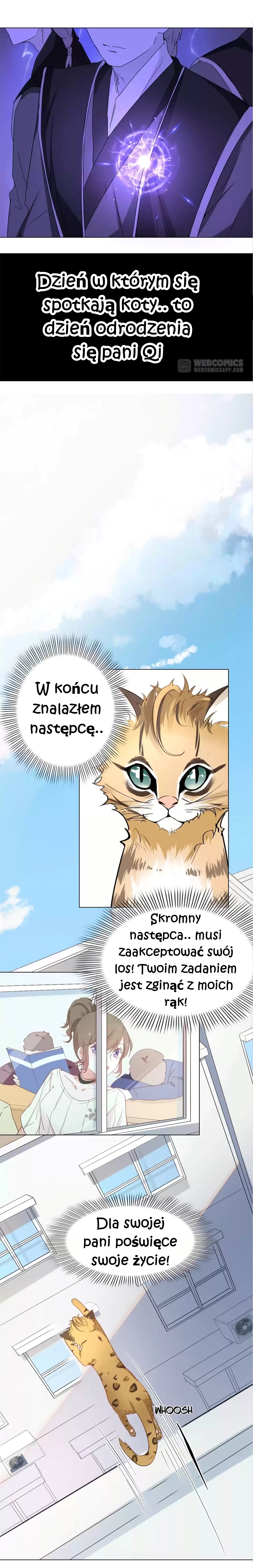 12 Evil Cats 第5页