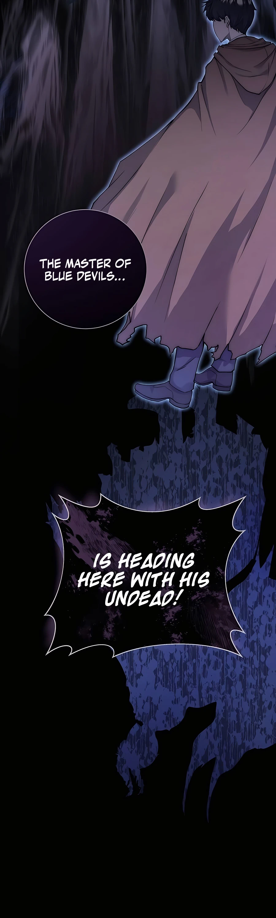 The Holy Emperor's Grandson Is a Necromancer 第8页