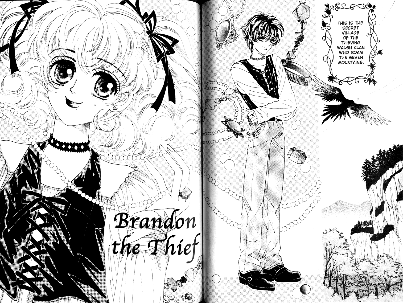 Princess Prince Brandon the Thief 第2页
