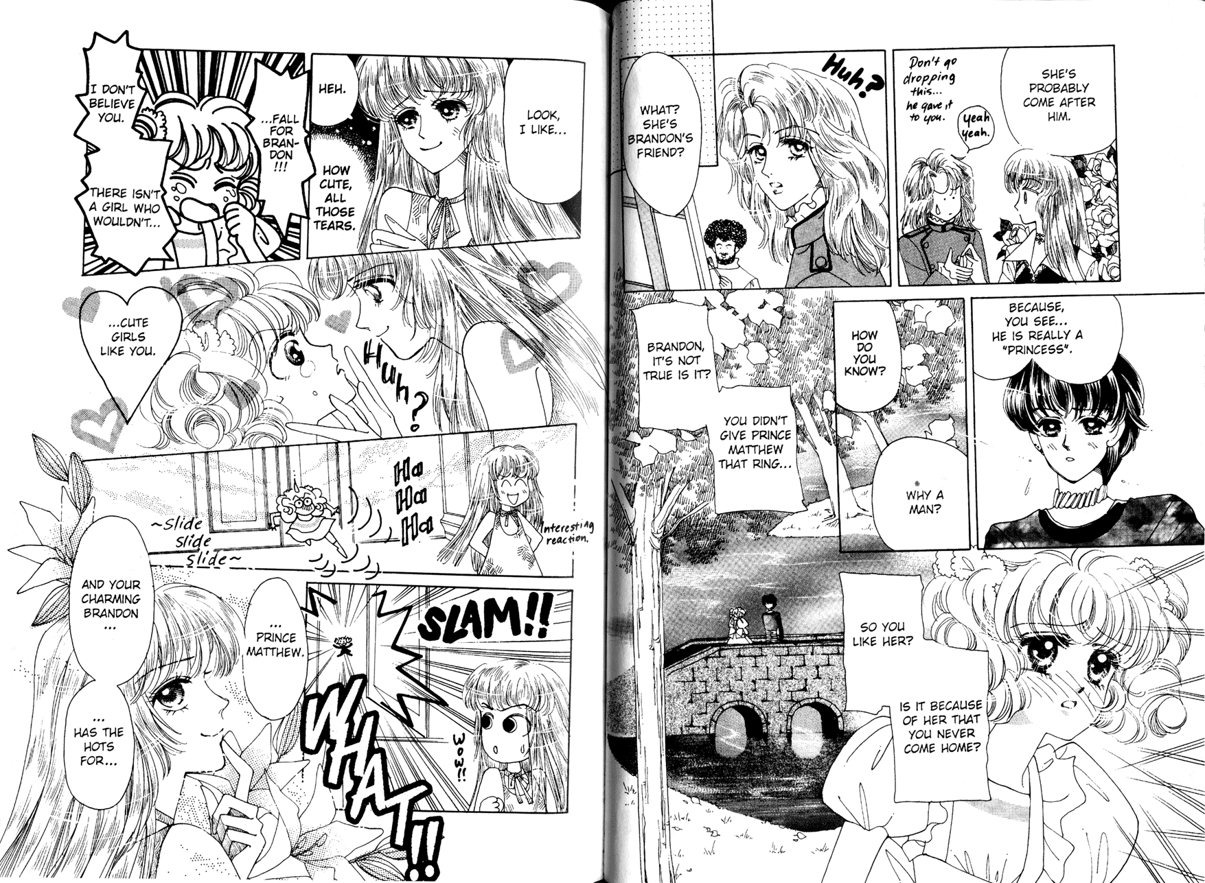 Princess Prince Brandon the Thief 第13页