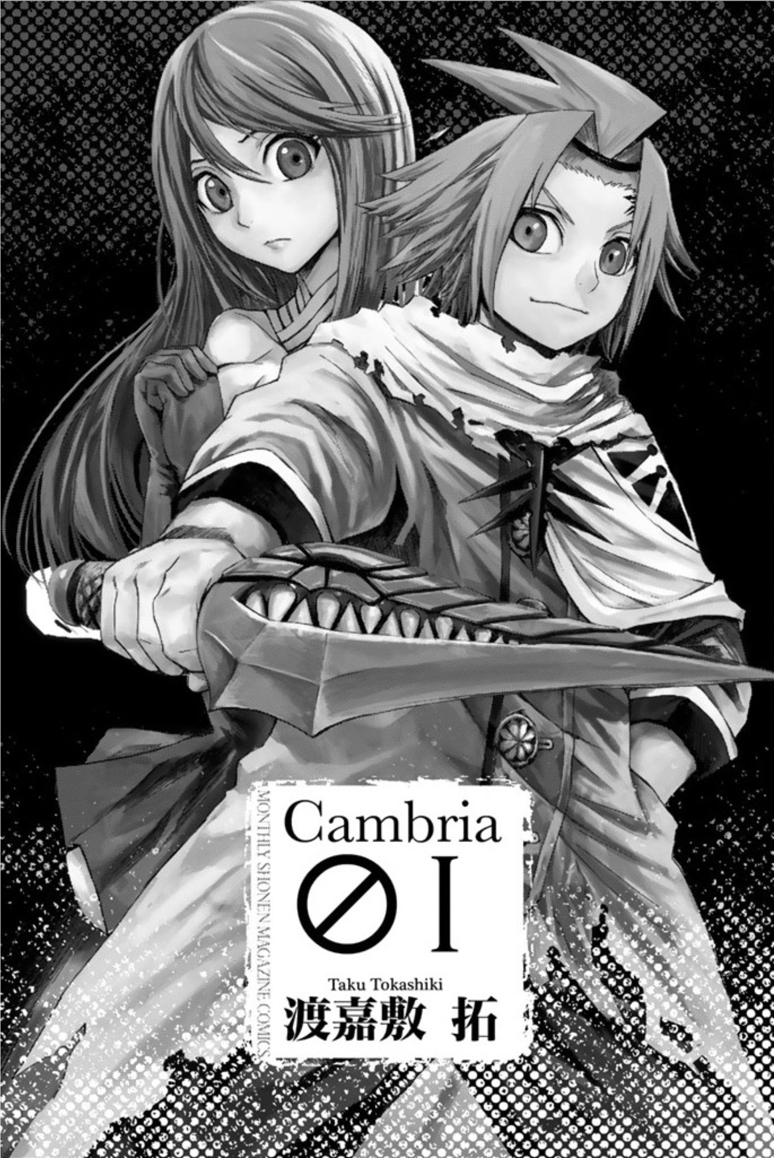 Cambria 第2页